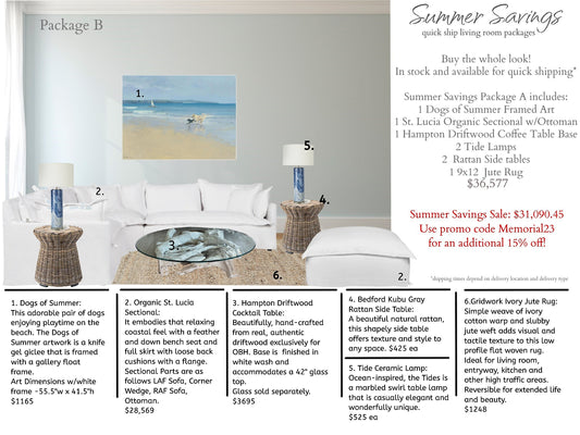Summer Savings - Living Room Package B